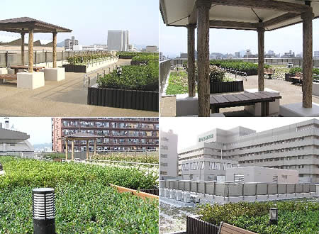 屋上 屋上庭園 写真