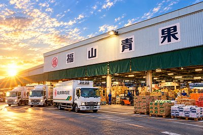 福山青果株式会社の写真1枚目