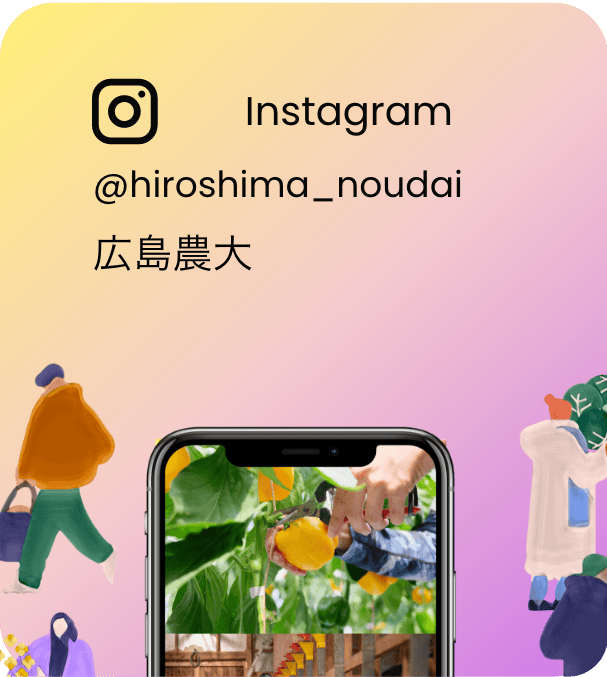 Instagram Link
