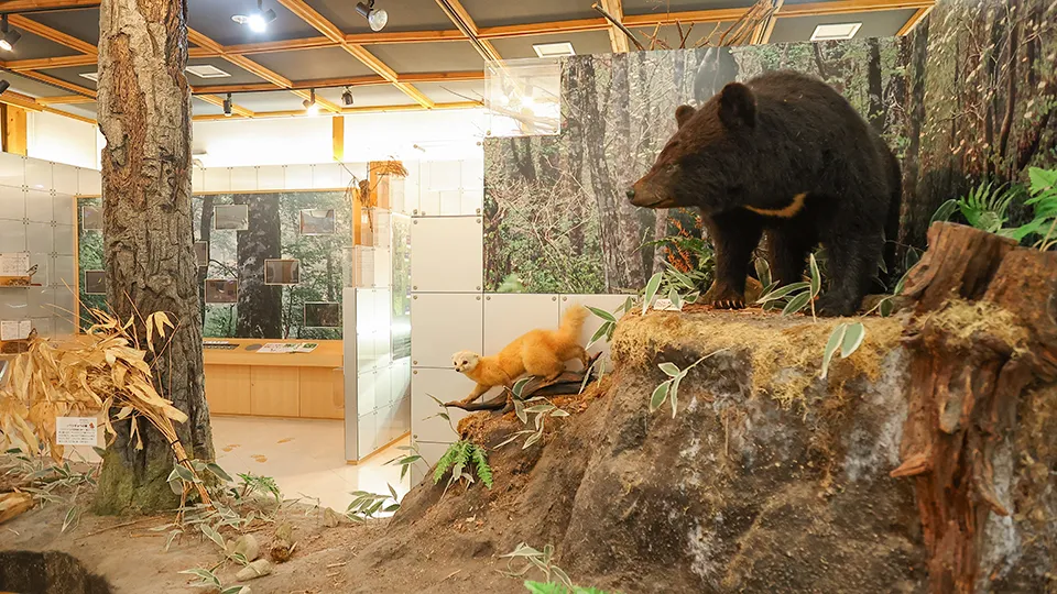 フィールドミュージアム「芸北 高原の自然館」