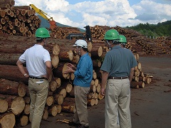 中国木材株式会社北広島工場1