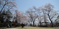 石見台（尾関山公園）