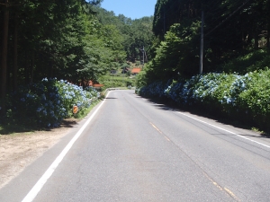 安芸太田町1