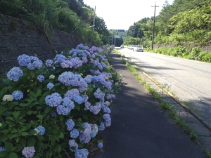 安芸太田町2