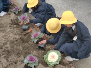 花かぐやロード12