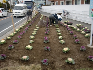 花かぐやロード13