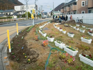 花かぐやロード6