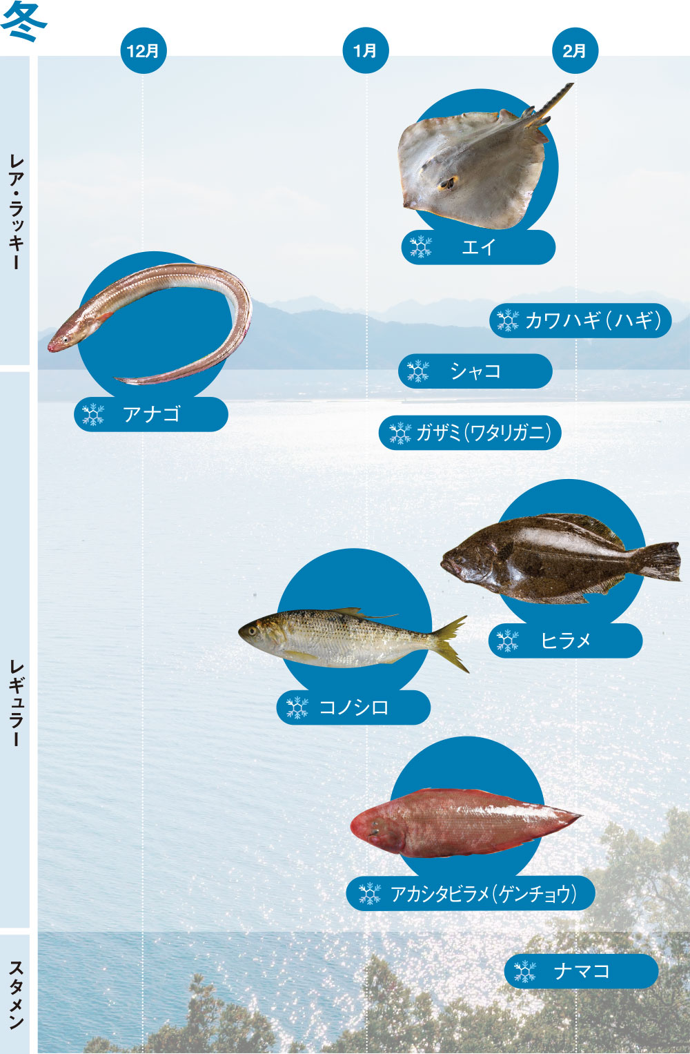 冬の分布図