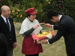 瀬戸内広島レモン」を初収穫写真4