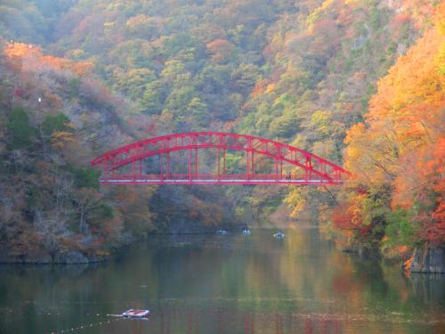 櫻橋