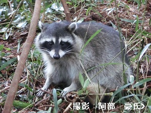 生物多様性とは 定義