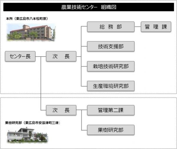 組織図