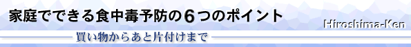 家庭でできる食中毒予防の6つのポイント～買い物からあと片付けまで～