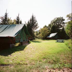 キャンプ場２