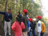 子供たちを集めて森林学習の画像