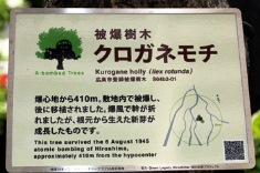 広島市の担当者に取り付けていただきました。樹木のことを考えてスプリングを使っています。