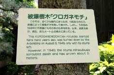 それまでの説明プレートです。説明文がやや長めでした。