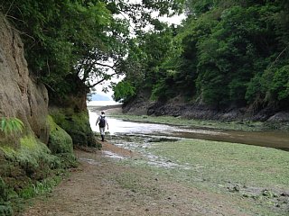 川に沿って進入するルートの写真