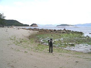 島の形に沿った湾曲な砂浜の写真