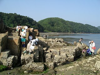 岩場の環境指標生物の調査