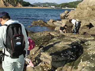 生き物の観察の写真