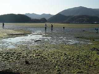 干潟での調査範囲決めの写真