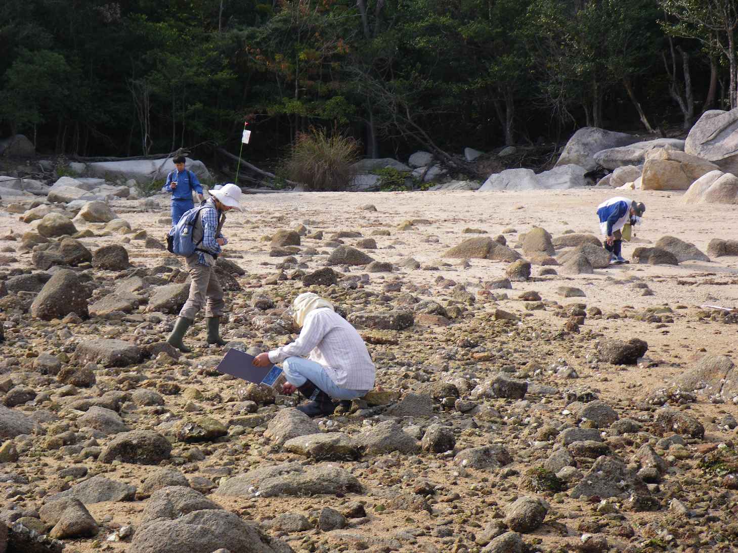 海岸の様子の写真