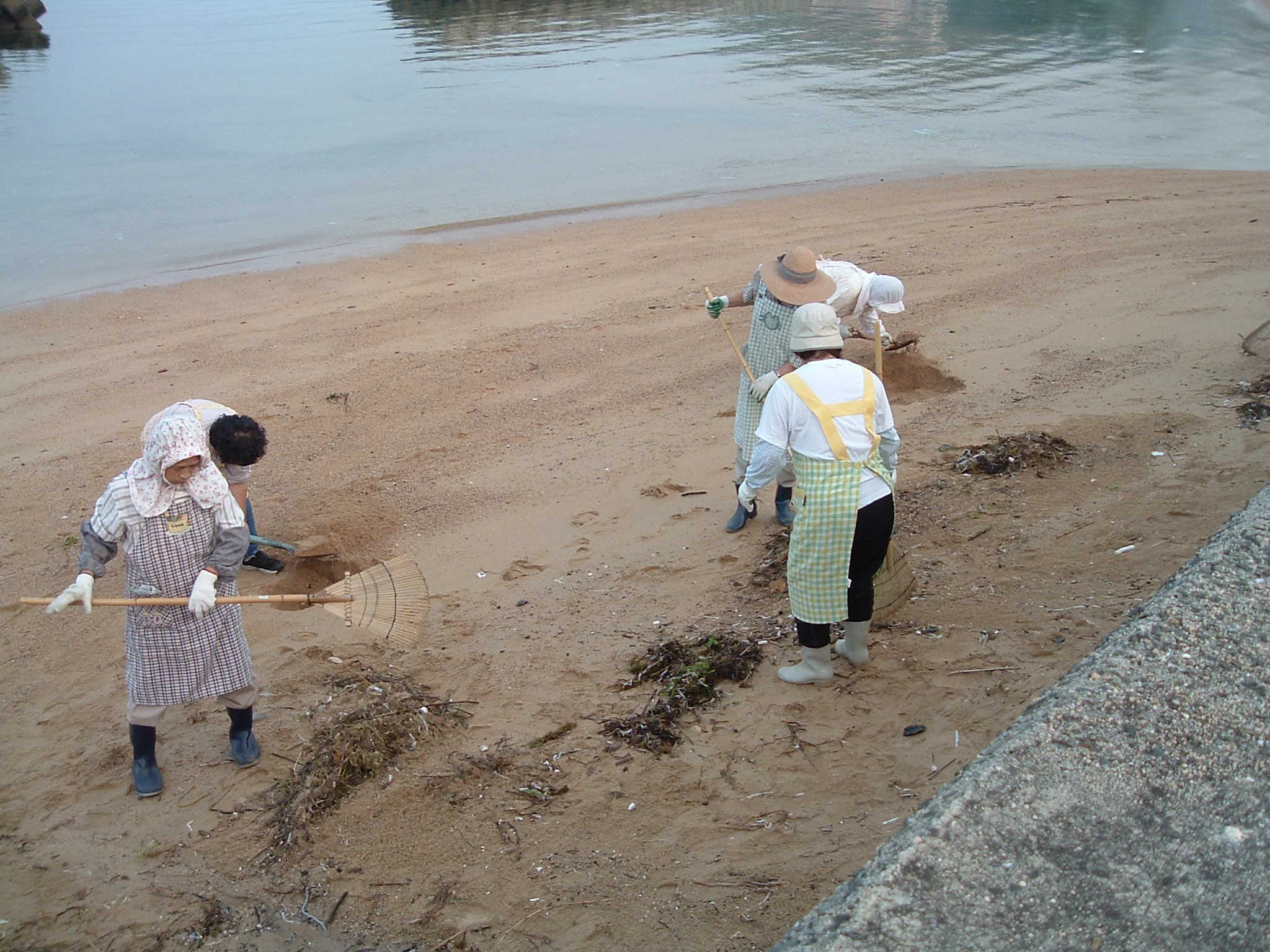 海越女性会の清掃活動写真