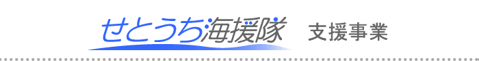 せとうち海援隊　支援事業