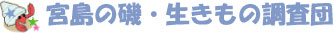 宮島の磯・生きもの調査団