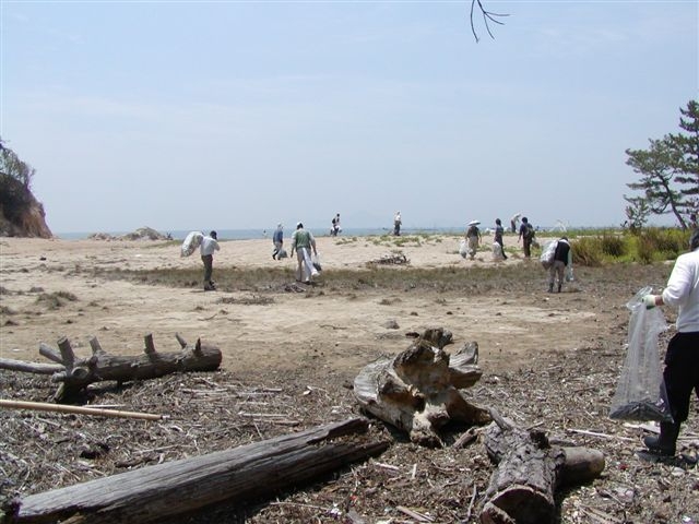 海浜清掃活動中の写真