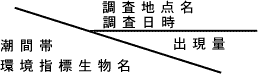 潮間帯環境指標生物名／調査地点名調査日時／出現量