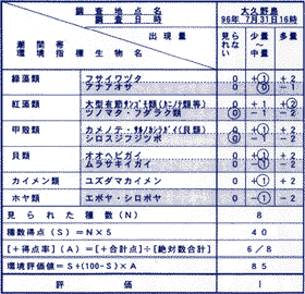 評価表：例