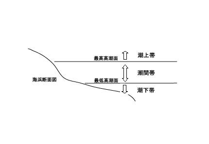 海浜断面図