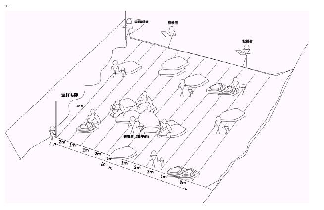 調査イメージ図の図