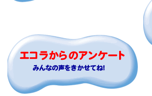 エコラからのアンケート
