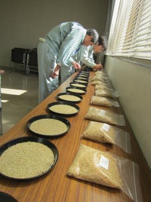 米大豆の等級審査
