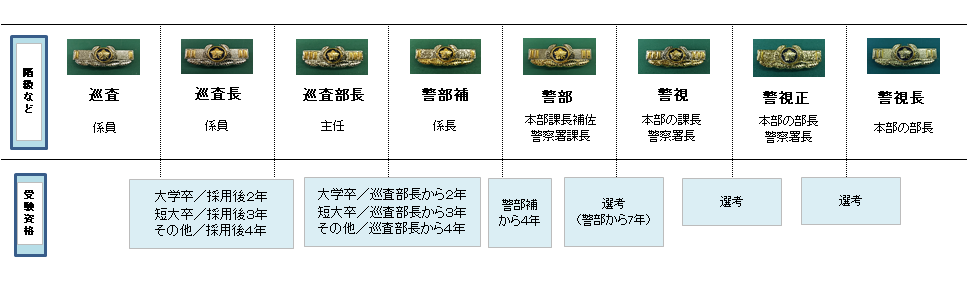 昇任制度 求人 採用試験情報 広島県警察