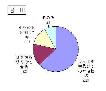 沼田川の排出状況