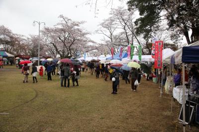 桜祭りの写真2