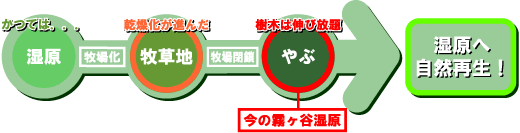 やぶを再び湿原へ