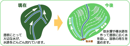 湿原に広く水を廻す