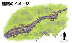 流路のイメージ