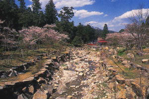 やはた川自然公園