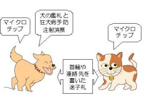 犬と猫イラスト