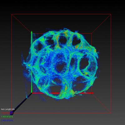 TEMographyシステムにより数nmの分解能で，３次元立体観察が可能