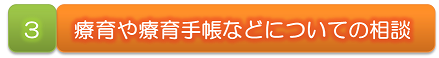 ３　療育や療育手帳などについての相談