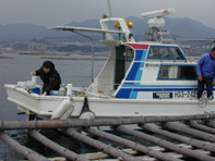 かき養殖海域調査風景