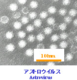 アストロウイルス