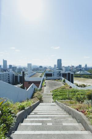 南に行くほど低くなるように設計され，眺望にも配慮された屋上庭園